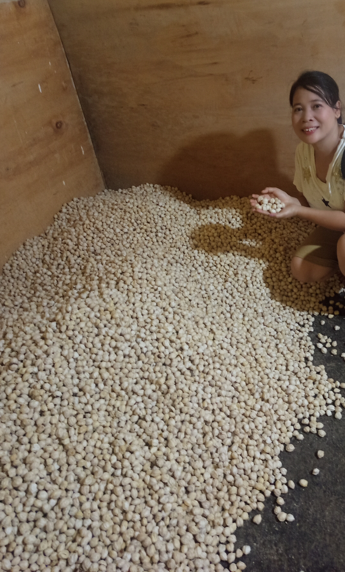 Sorted candlenut kernels stored in the warehouse before packing